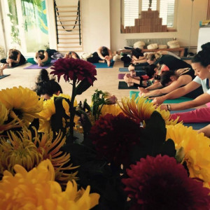 12122406_10153020038722330_4764764111242402080_n-144e193201e71aa89c2f755e419bf432