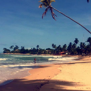 12512809_1713519845527264_7468997127519806227_n-86237aee3b4ae3b0408ff9dc7b94210e