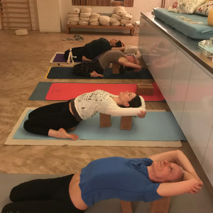 img_4442-e0c09716ecede3aaa181fb651a6aa732